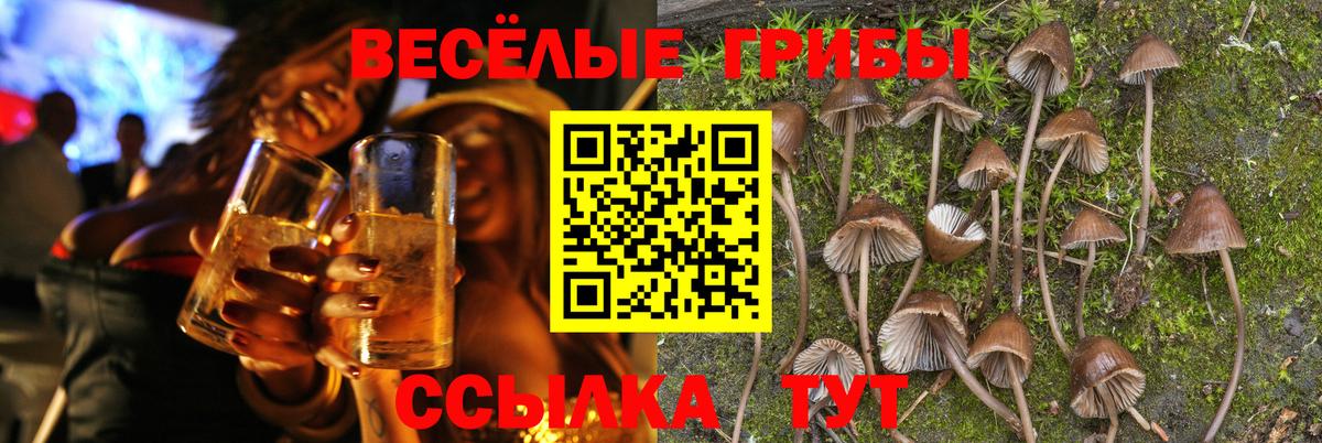 Псилоцибиновые грибы ЛСД Аша