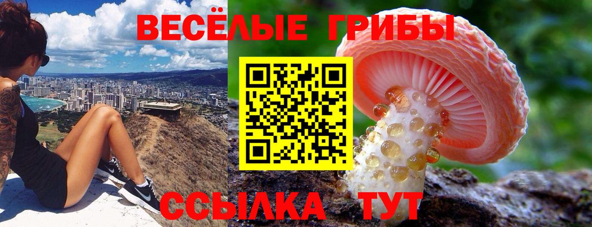 Аша  сколько стоит  Псилоцибиновые грибы мухоморы  Вход с VPN  Псилоцибиновые грибы GOLDEN TEACHER 