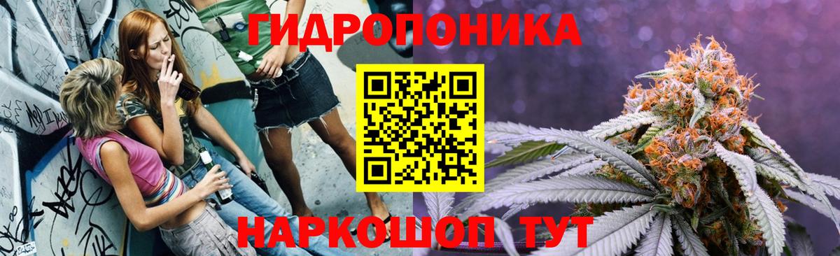 Бошки Шишки индика  Вход с VPN  Марихуана сатива  Канабис Bruce Banner  Аша 